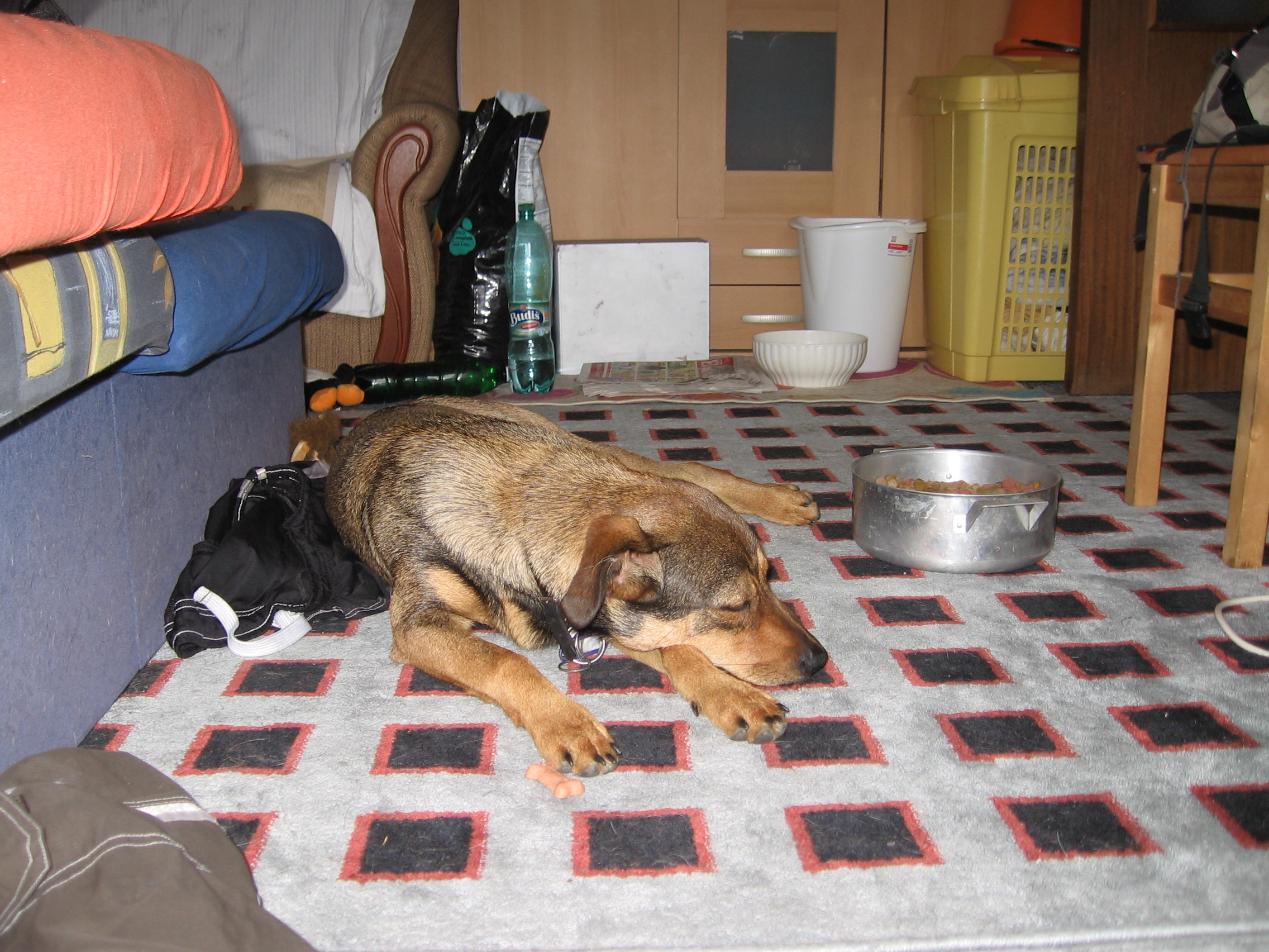 bubko
